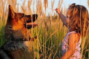 Народився без ноги дівчини, подружився з цуценя з трьома лапами Народився без ноги дівчини, подружився з цуценя з трьома лапами